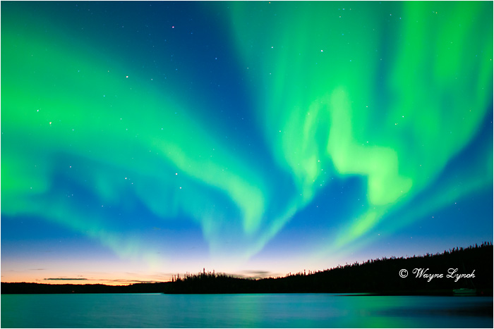 Aurora Borealis 125